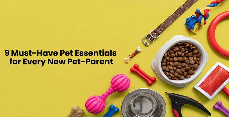 9 Must-Have Pet Essentials for Every New Pet-Parent